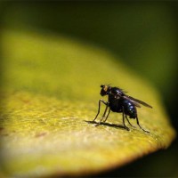 /album/l-k/photolia-a07-jpg/